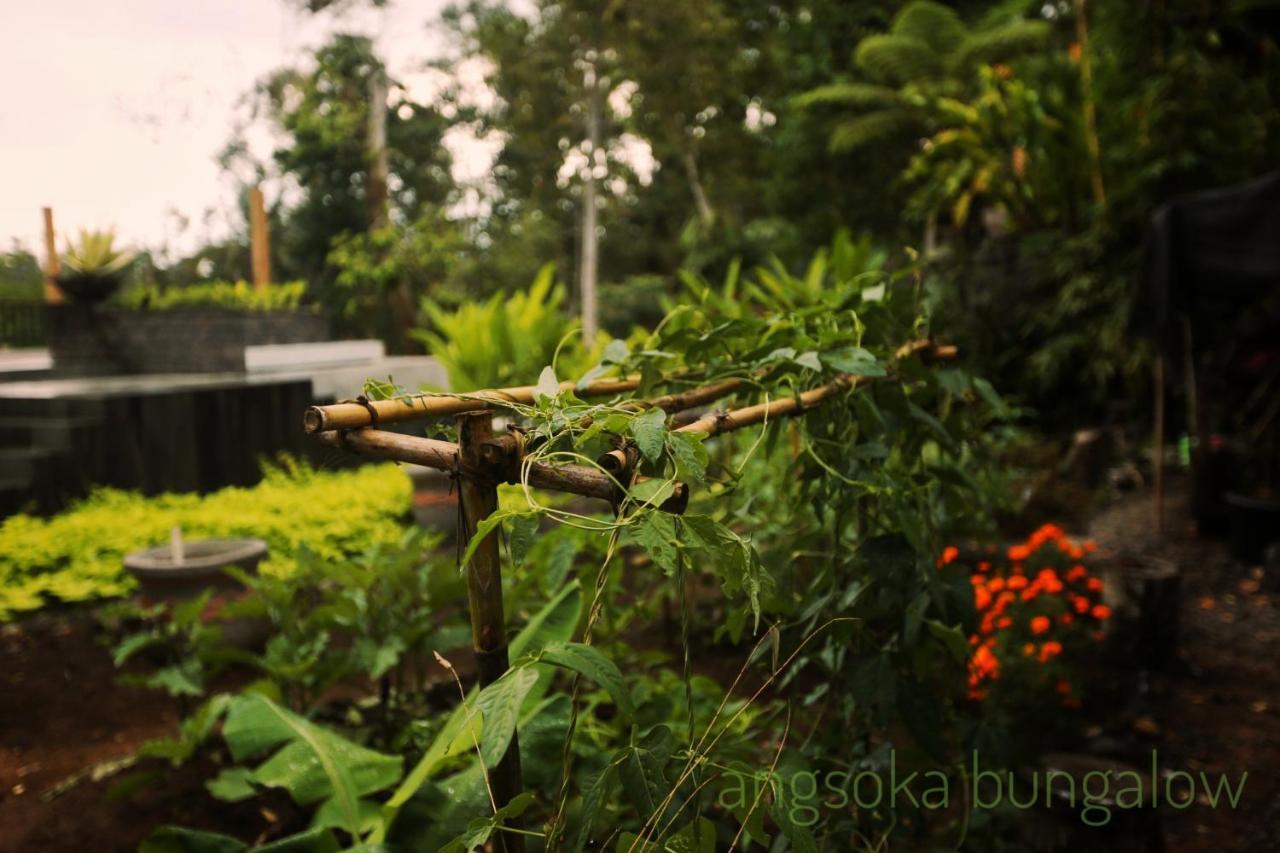 Angsoka Bungalow Ubud Extérieur photo